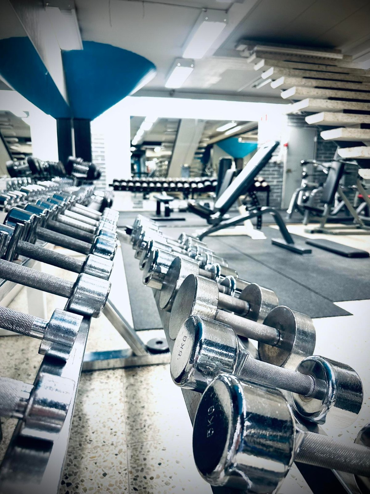 Käsipainot TAF Gymin kuntosalilla Lappeenrannassa
